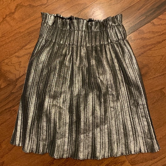 Pleated Metallic ZARA Skirt - Picture 2 of 4